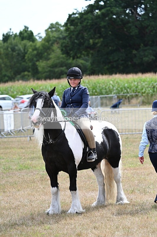 WJ7_5570 - Class 12 Ridden Cob