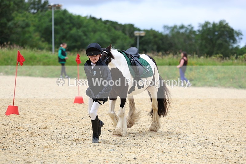 3E7A9652 - Walk trot run