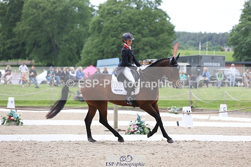 240524-120548-08520 - 274-JACK_OF_CLUBS-Rosalind_Canter