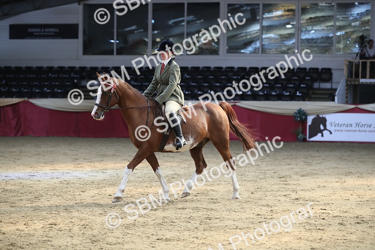 SBM_08338 - Class 11R Regional Ridden Veteran
