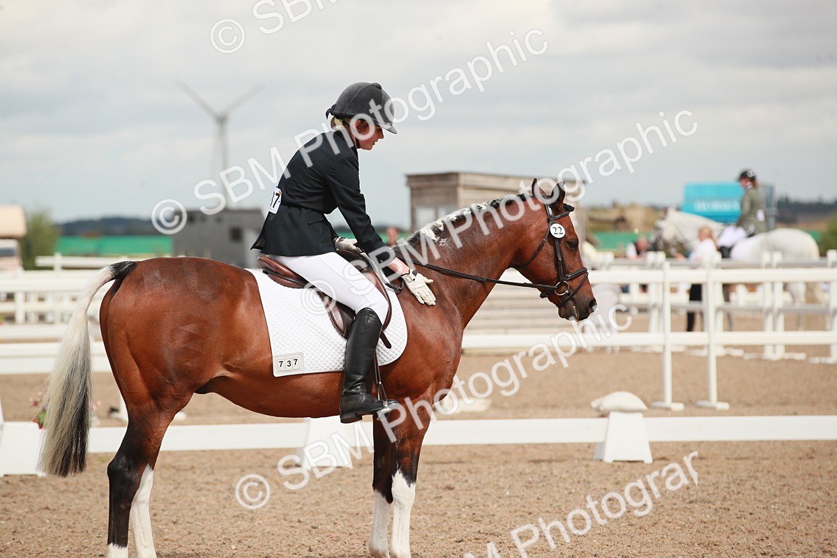 SBM_05940 - Class 32 - Novice 1