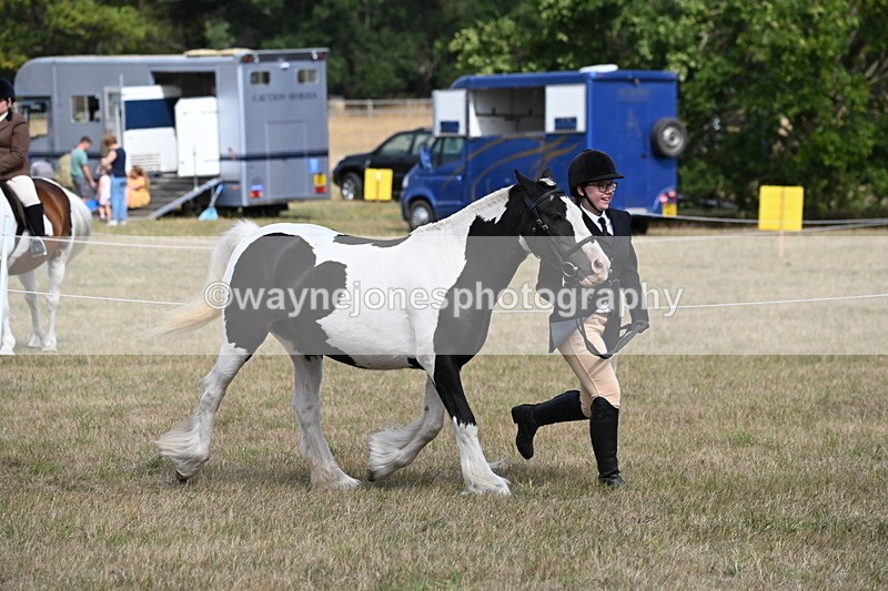 WJ6_6476 - Class 20 In-hand Cob