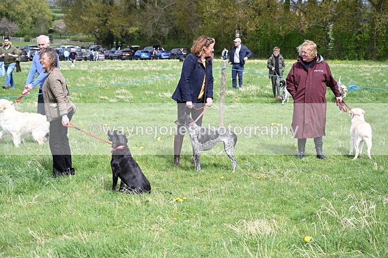 WJ6_8219 - Class 4 Prettiest Bitch