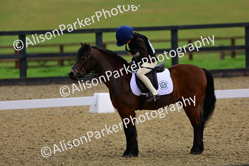 20260125-0510 - Class 9b - Walk Trot Unassisted