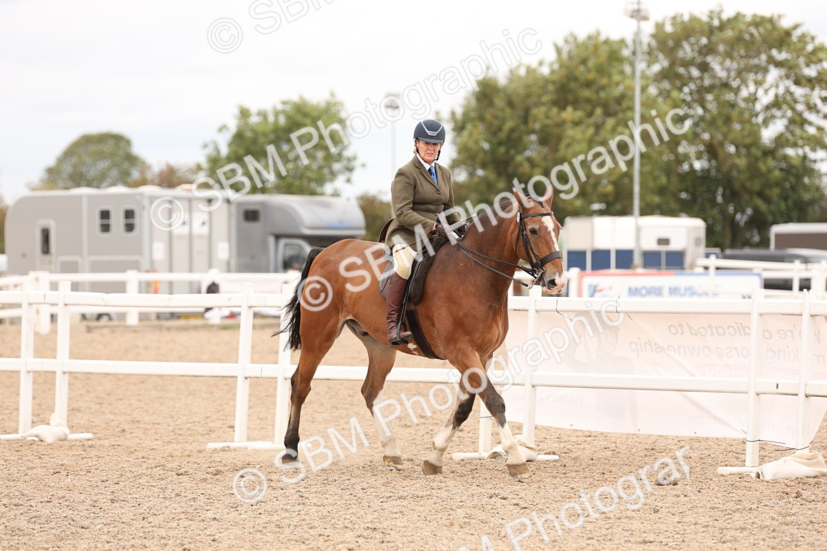 SBM_19526 - Class 215 - Ridden Show cob