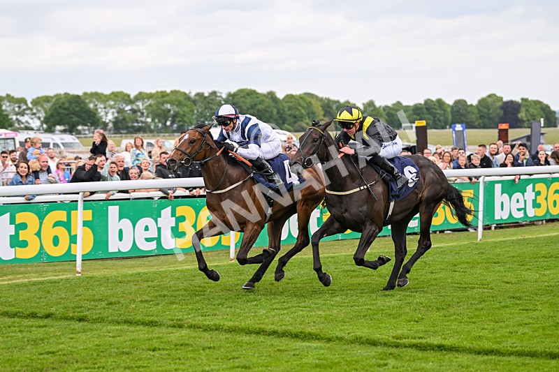 240525-Race 2-Argentine Tango-0285 - Race 2