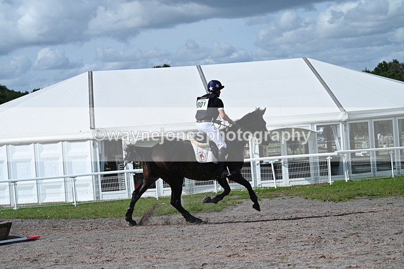 WJ7_2125 - Time 13:17 to 13:53