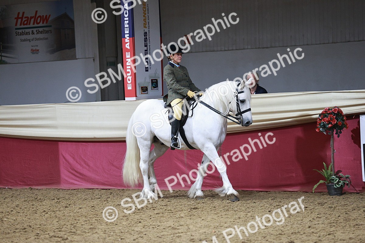 SBM_07995 - Class 11R - Regional Ridden Veteran