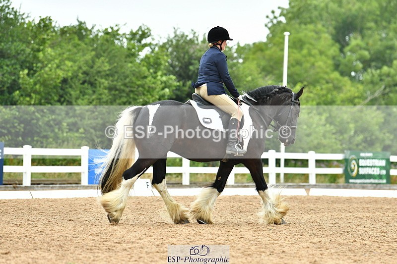 230708A-105352-02446 - Prelim 13