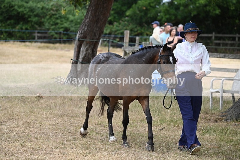 WJ6_7959 - Class 10 Coloured in Hand