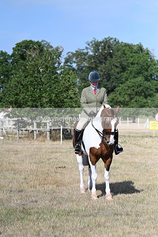 WJ7_2860 - Class 8 Ridden Tack & Turnout