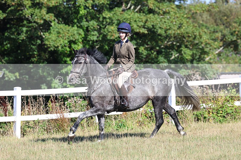 3E7A5525 - Class 3: Working Hunter 70cm