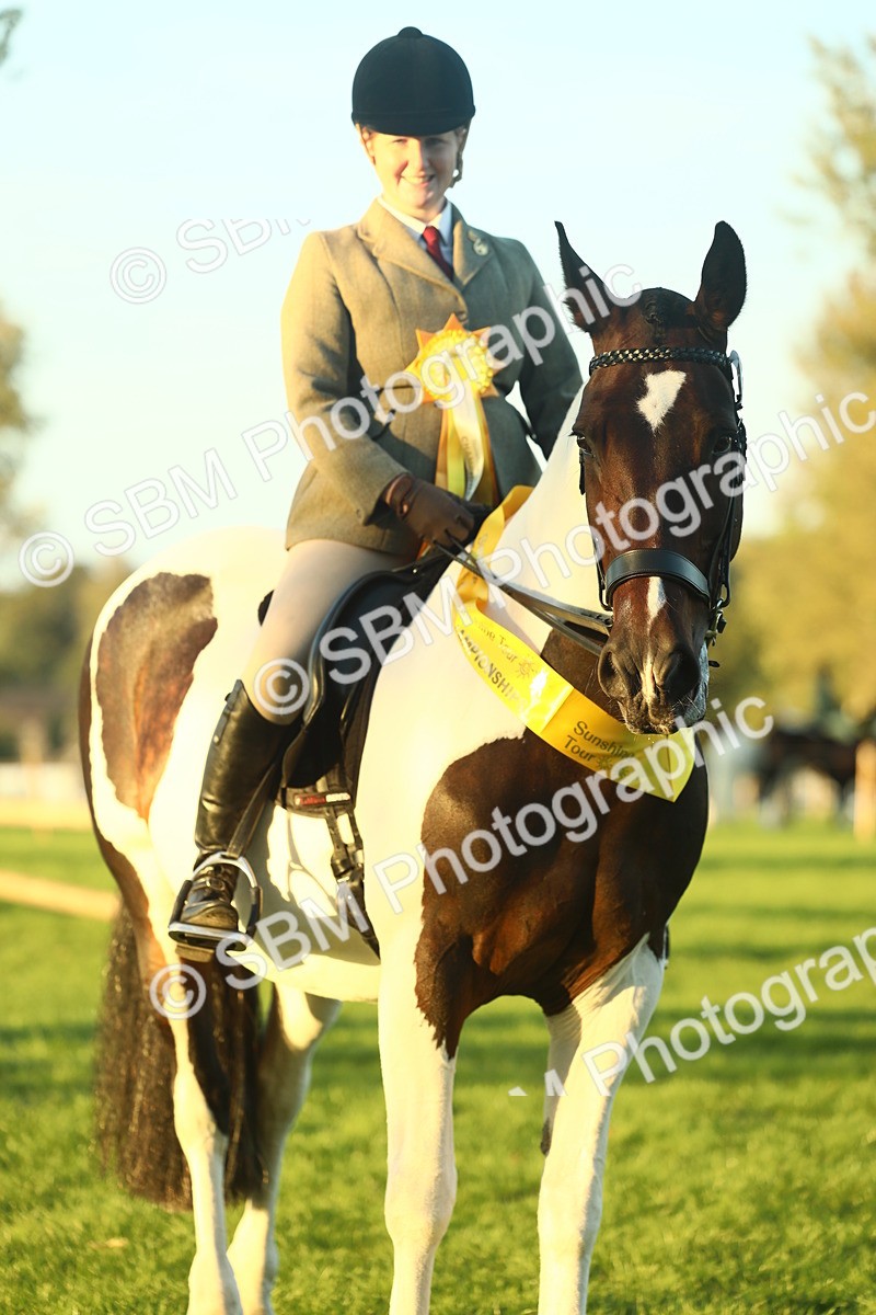 SBM_56526 - S14 - Riding Club Horse