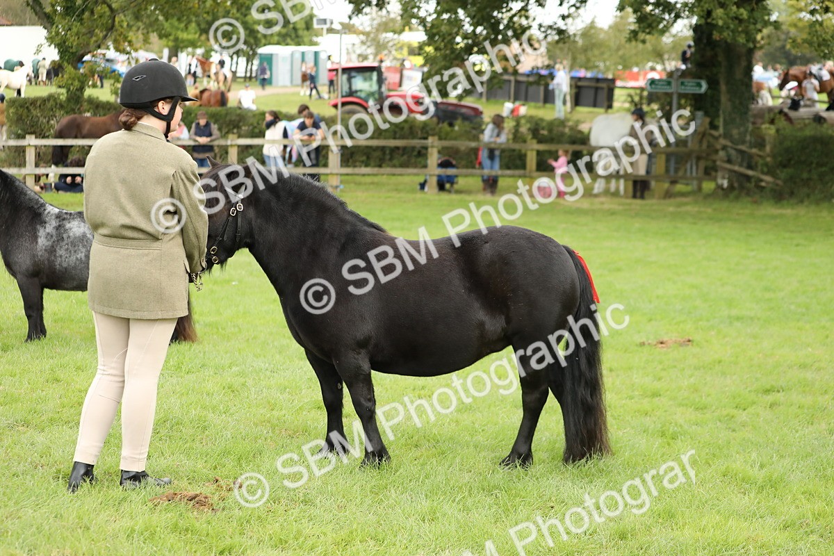SBM_62779 - S46 - Mountain & Moorland In Hand Small Breeds