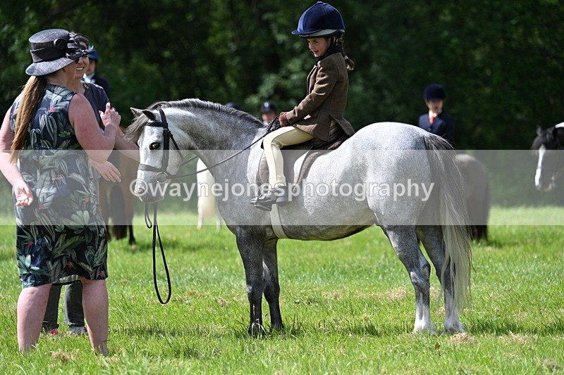WJ7_1495 - Class 11 Condition & Turnout