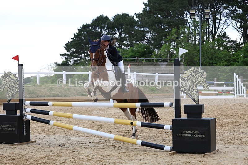 3E7A8549 - Class 14: Pony Newcomers/1m open