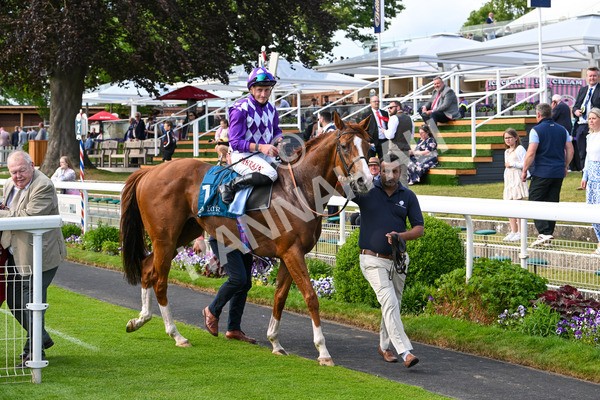 310525-Race 7-Mums Tipple-0492 - Race 7 5.00pm William Hill Best Odds Guaranteed Handicap