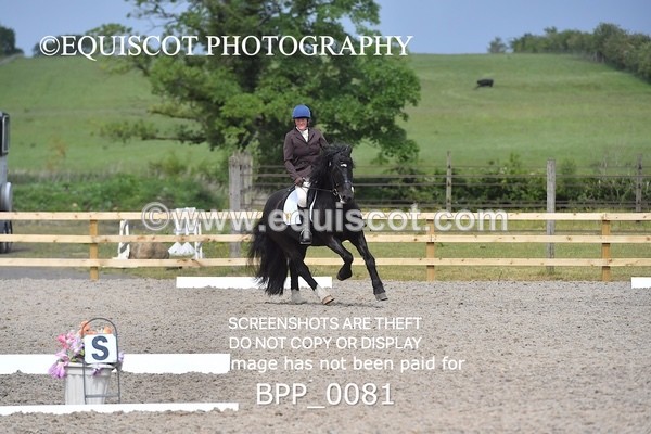 BPP_0081 - SHORT ARENA  MY QUEST PRELIM