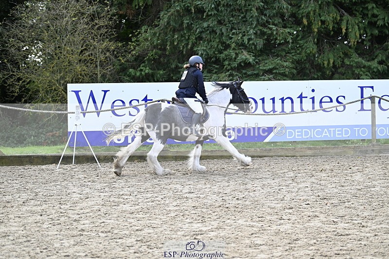 251005A-121454-03685 - Cls 08 Mini 70-75cm