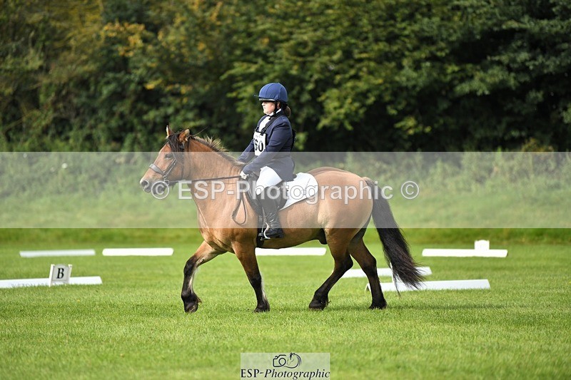 230826-100929-15379 - Sections C & D 10 to End