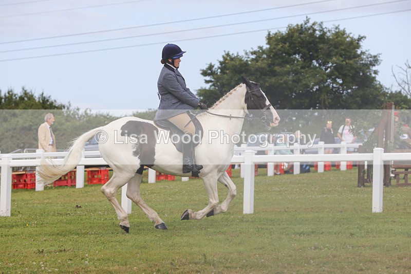 1X9A3068 - Class 26: Ridden Plaited Coloured Pony