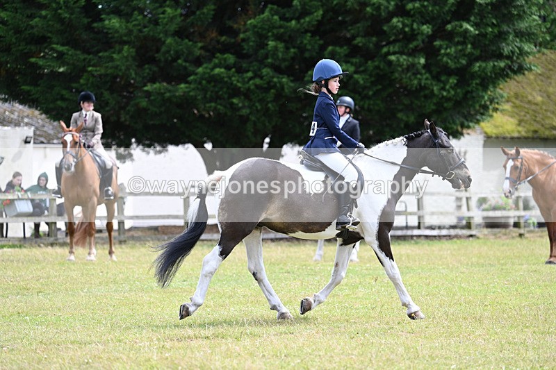 WJ7_9687 - Class 8 Ridden Veterans