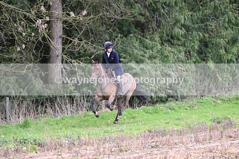 WJ6_9525 - Line Four