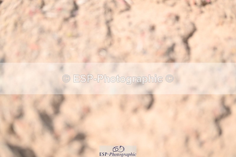 240622A-160825-12694 - Cls 35 BD Adv Medium 91