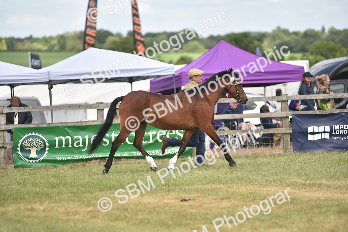 SBM_16146 - Class 117-122 - SSADL RIHS Qualifier