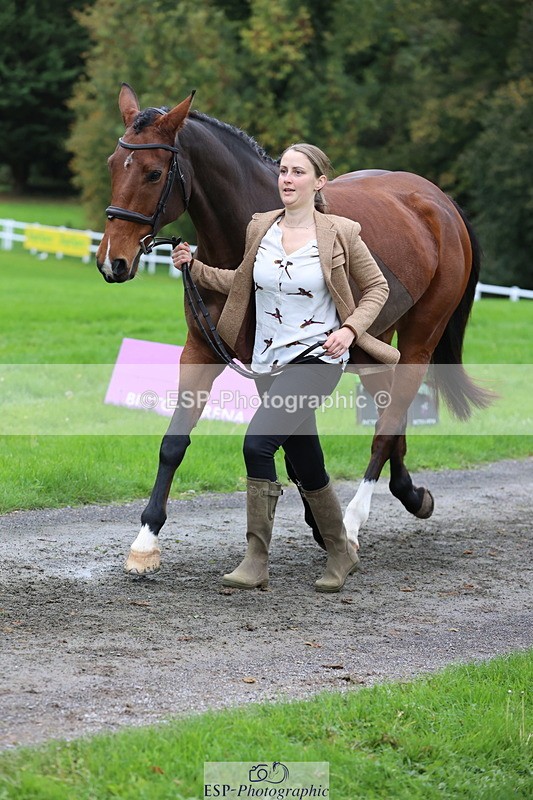 251026A-111146-25293 - F-462-Hayley.Allen