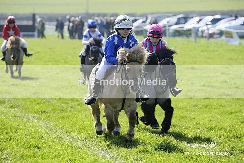 PtP 190322 16 - Wilton Hunt PtP Milborne St Andrew 19/03/22