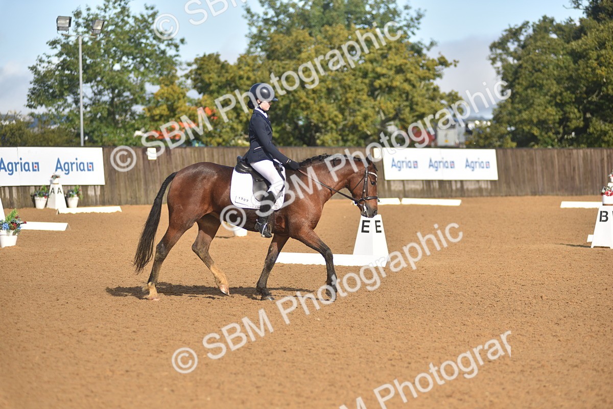 SBM_38564 - D14 - Grand Tour Championship Prelim 2