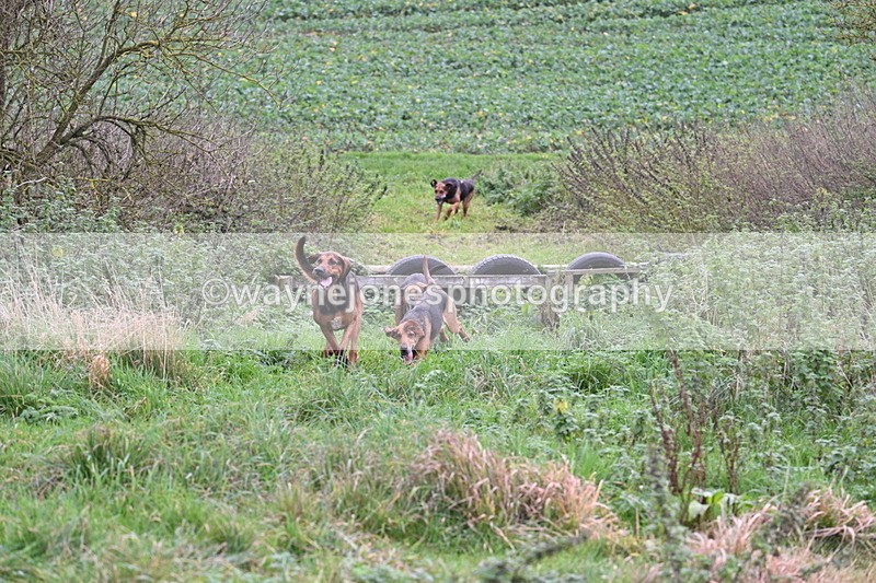 WJ7_8929 - Camera 1 only on this line