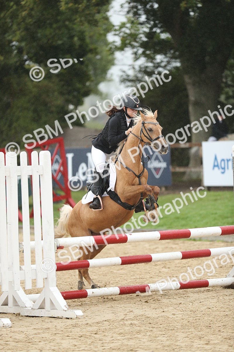 SBM_73933 - J16 - Junior Pony 75cm Championship