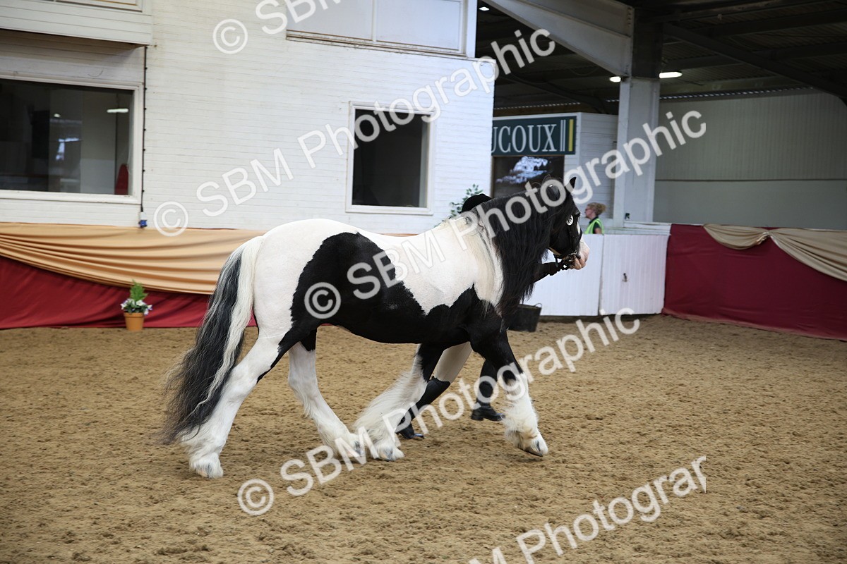 SBM_24732 - Class 906 - Supreme Final - Ridden Pre Vet
