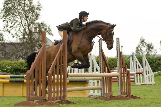 28 - Equestrian Photography
