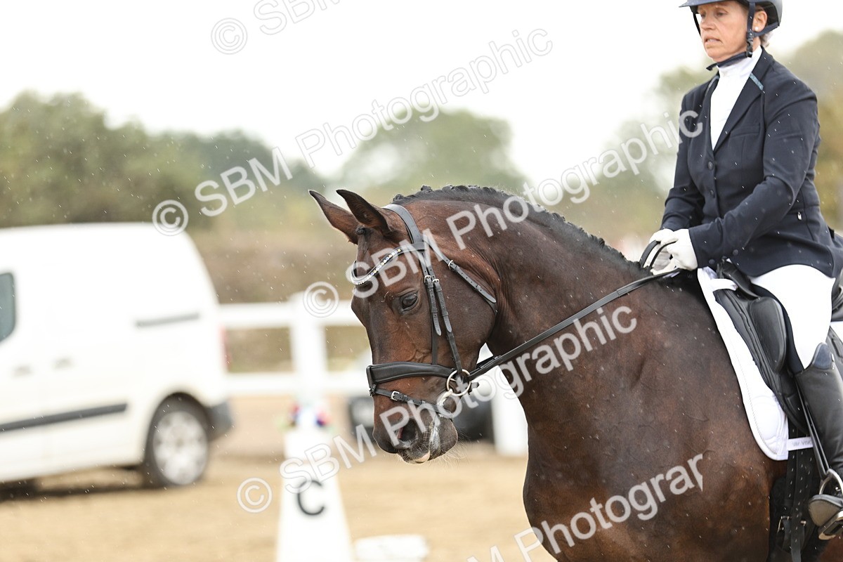 SBM_006964 - Class 21 - Medium 5 Bronze - 10.04-10.52