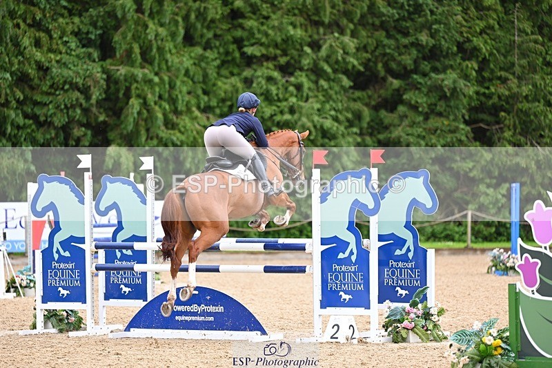240526-140626-24420 - 251-MILESTONE_GOLD-Gaby_Bull