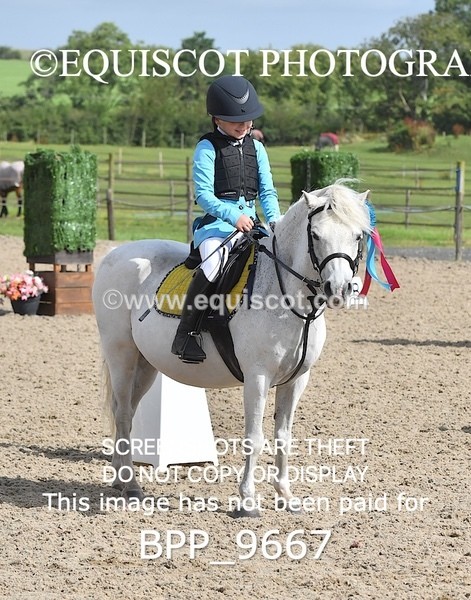 BPP_9667 - CLASS 1 SAT Derby Show Jumping 20CM,