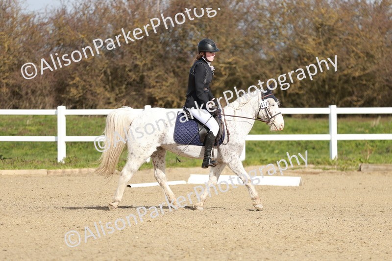 20260314-1112 - DR2 - Intro 3