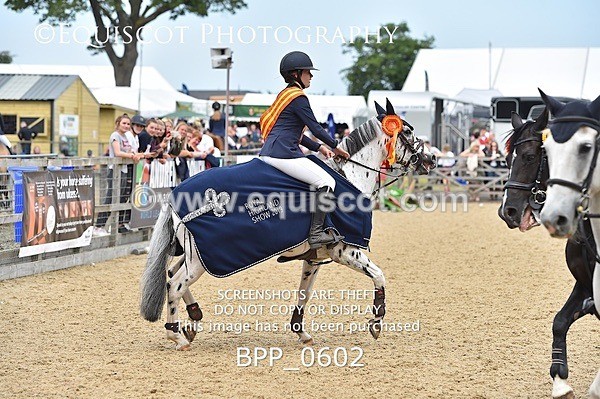 BPP_0602 - RHS 2019 Selection - *Just some random spectator shots so Lucky Dip if you are there!