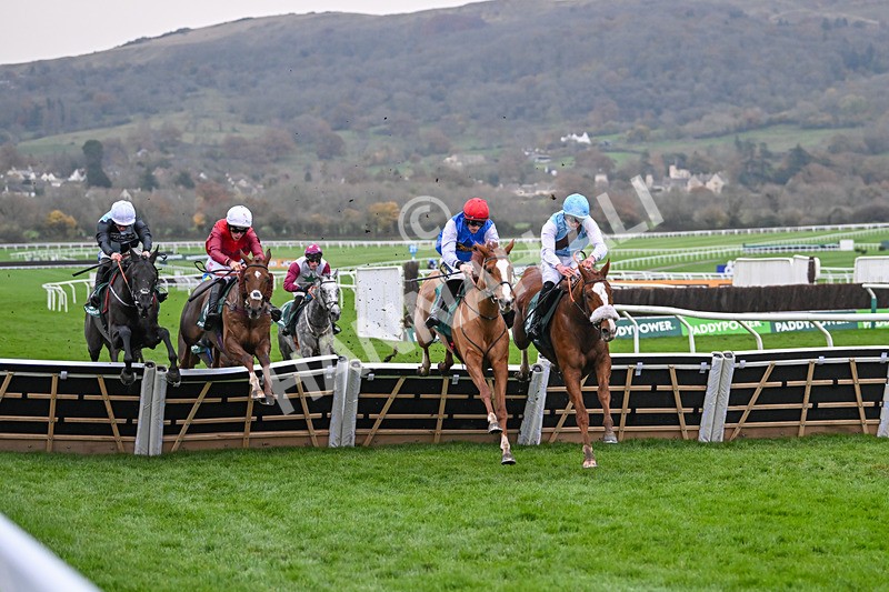 161124-Race 6-Hamsiyann-1460 - Race 6