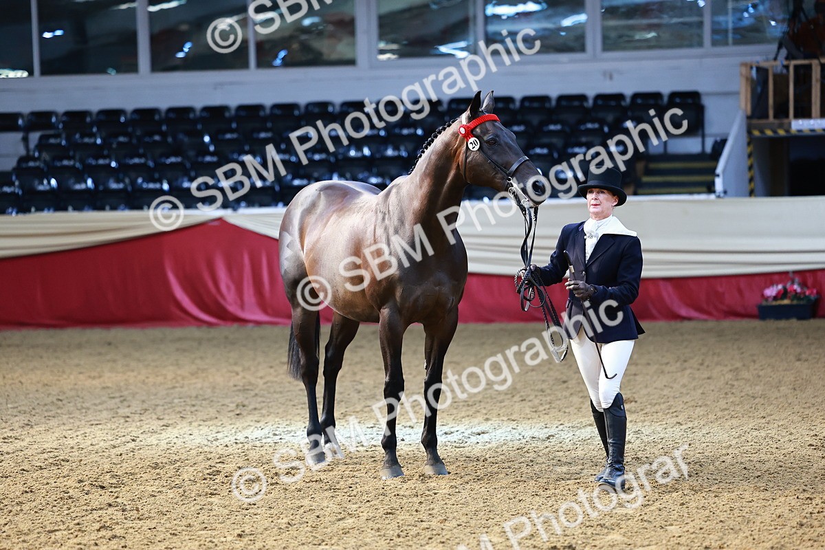 SBM_22168 - Class 902 - Supreme Final - IH Diamond