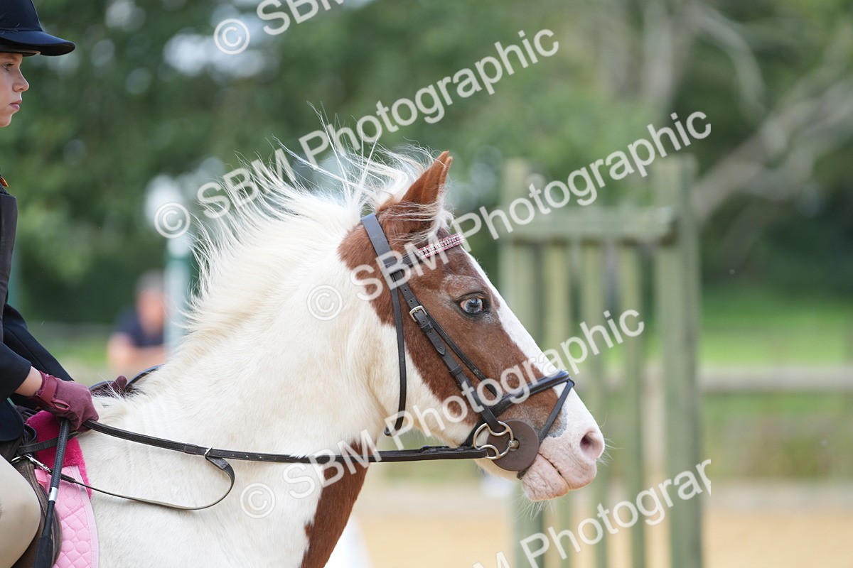SBM_64410 - J2 - Mini Tour Junior Pony 30cm Championship