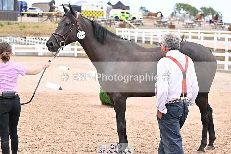 250716-140215-00866 - Trot Up 1.30 to 2.30