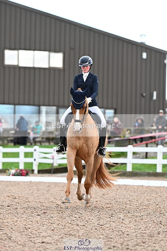 240218A-104105-06185 - 272-Beth.Bainbridge-Newton.Dreamcatcher