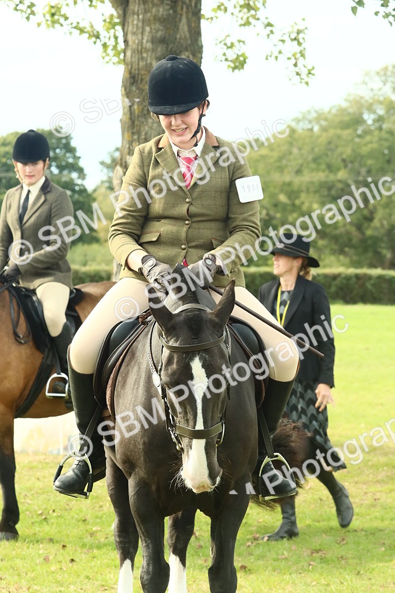 SBM_69382 - S58 - Mini Show Cob Ridden