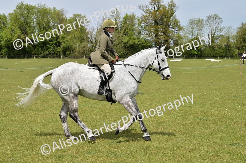 20260426-3687 - Class 22 - Working Hunter