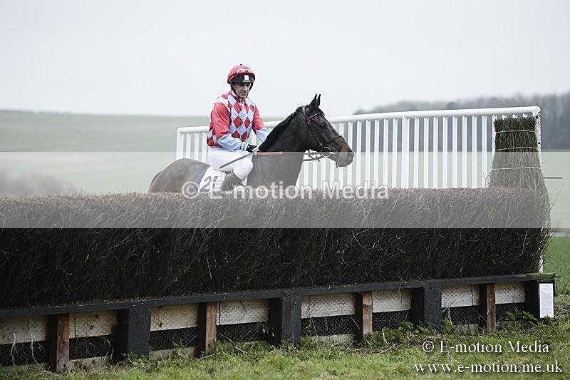 PtP 020418 -166 - Old Berks Point-to-Point Races Easter Monday 02/04/18
