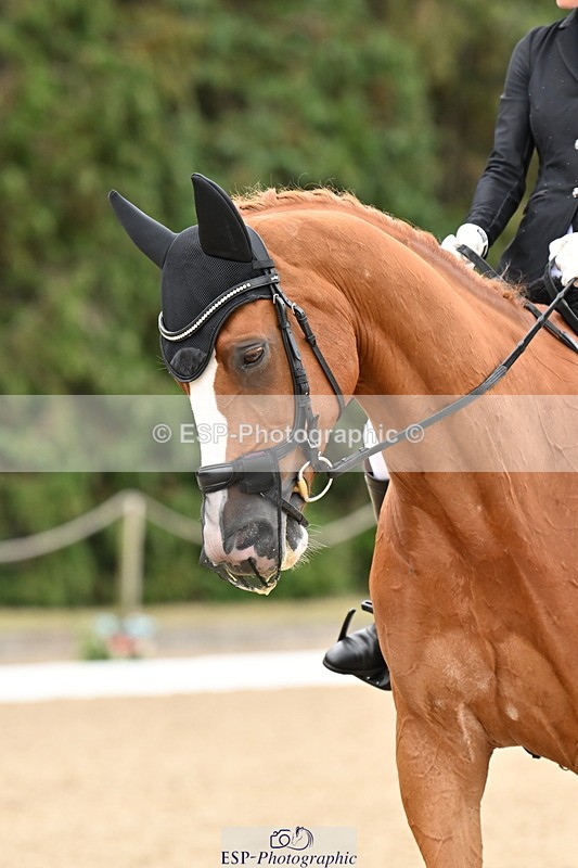 250808A-112049-00456 - 140-Laima.Davies-Romero